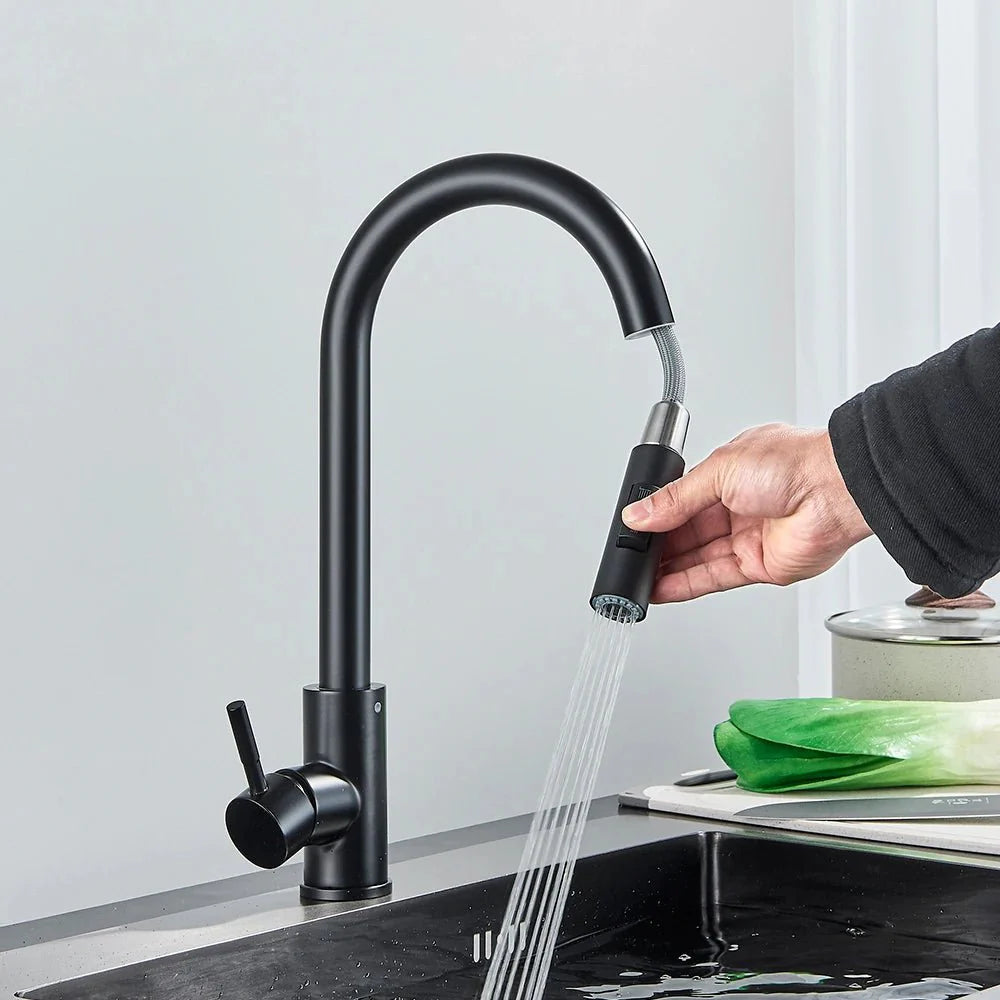 Midnight DualStream Single-Handle Pull-Out Kitchen Faucet with Hot/Cold Water Control
