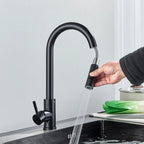 Midnight DualStream Single-Handle Pull-Out Kitchen Faucet with Hot/Cold Water Control