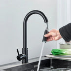 Midnight DualStream Single-Handle Pull-Out Kitchen Faucet with Hot/Cold Water Control