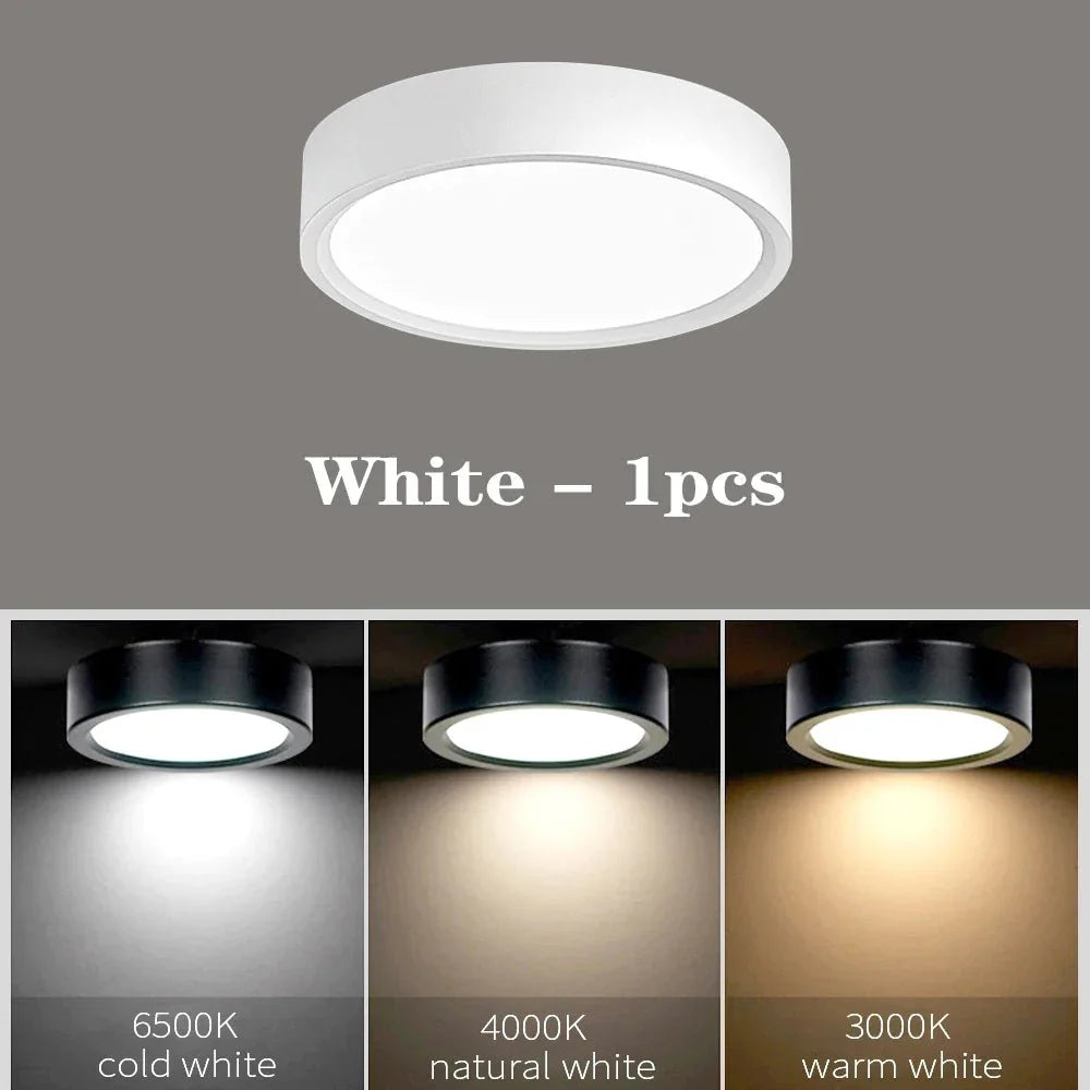 SlimGlow Elite: Ultra-Thin LED Ceiling Light - 10W