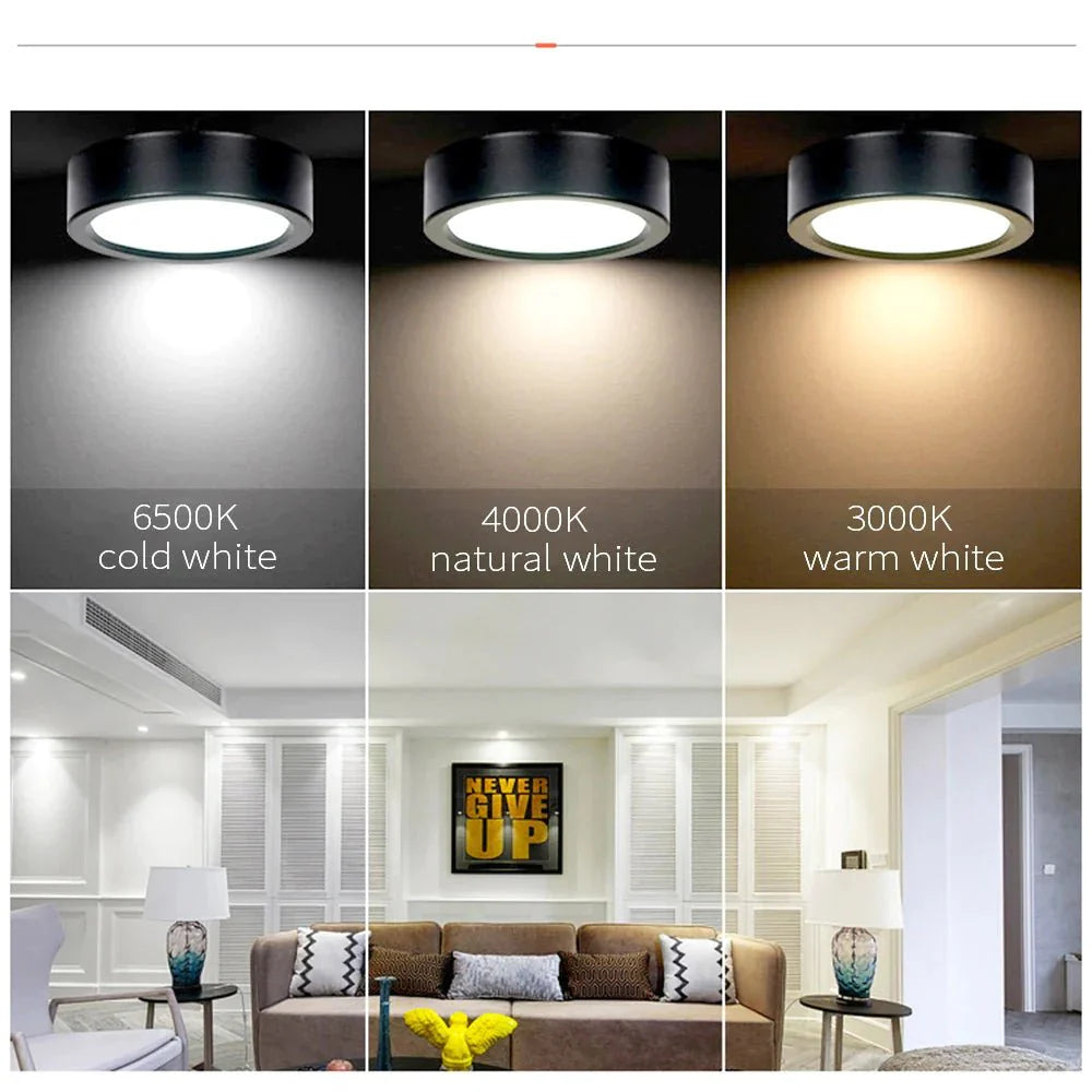 SlimGlow Elite: Ultra-Thin LED Ceiling Light - 10W