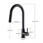 Midnight DualStream Single-Handle Pull-Out Kitchen Faucet with Hot/Cold Water Control