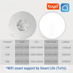 SmartLuxe 24W: Modern LED Ceiling Light