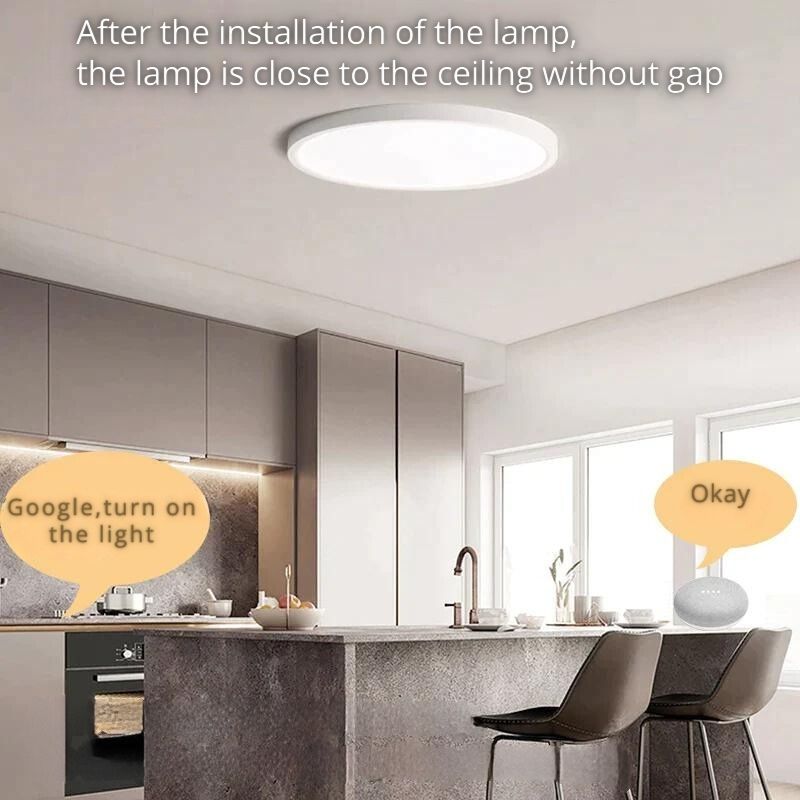 SmartLuxe 24W: Modern LED Ceiling Light